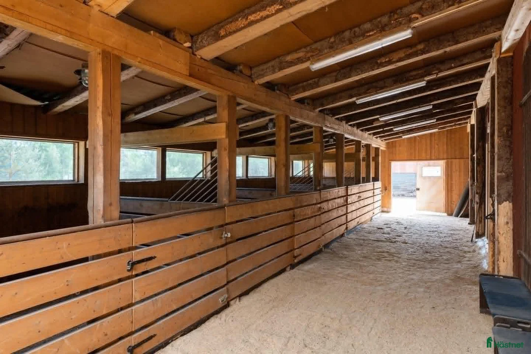  stallplats finnes: Lösdrift/Box - Annons 2