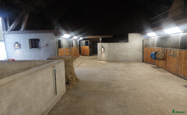  stallplats Boxplatser uthyres  i Staffanstorp - Annons 3