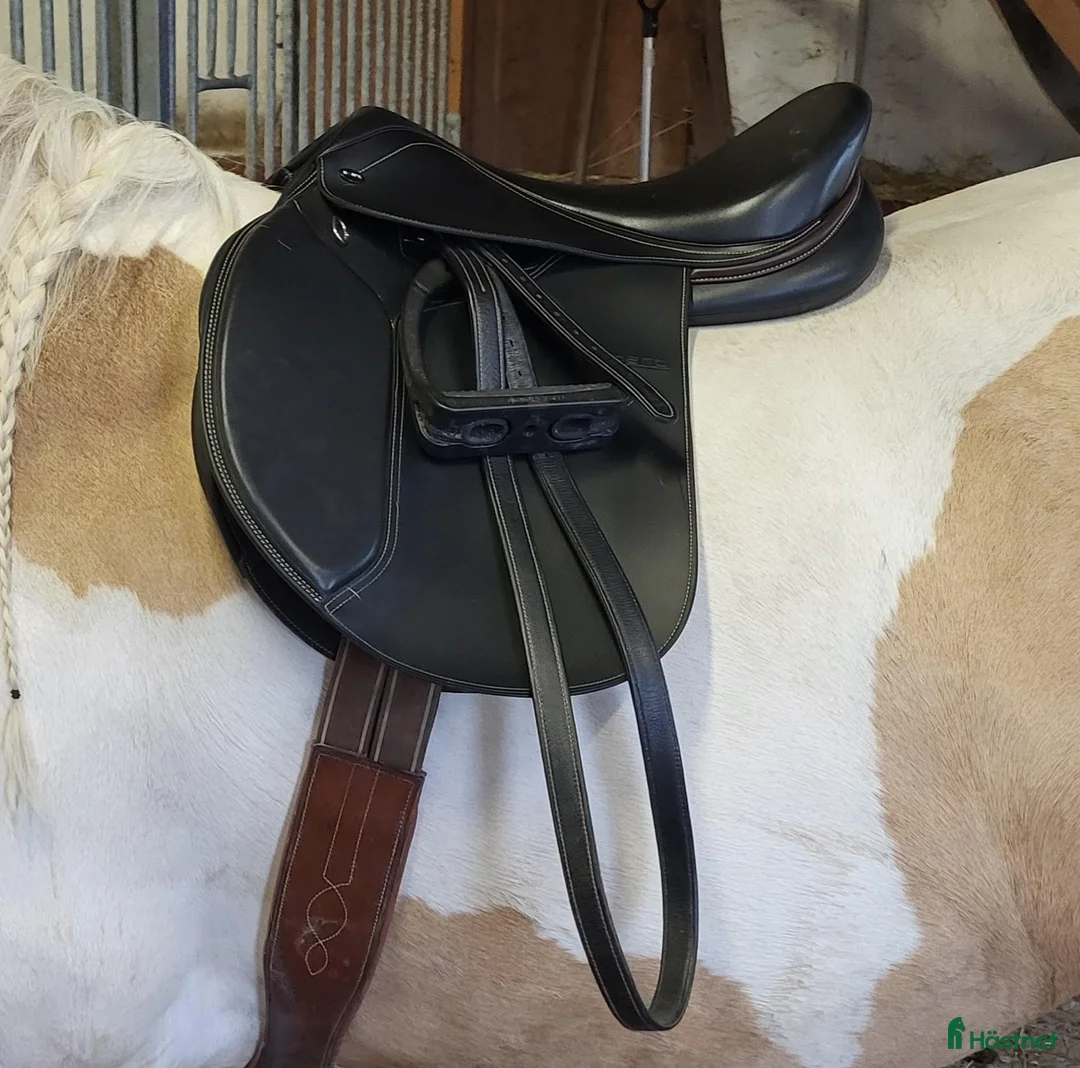 Sadlar hästutrustning till salu: Fin sadel Smart by Lippo 17" - Annons 1