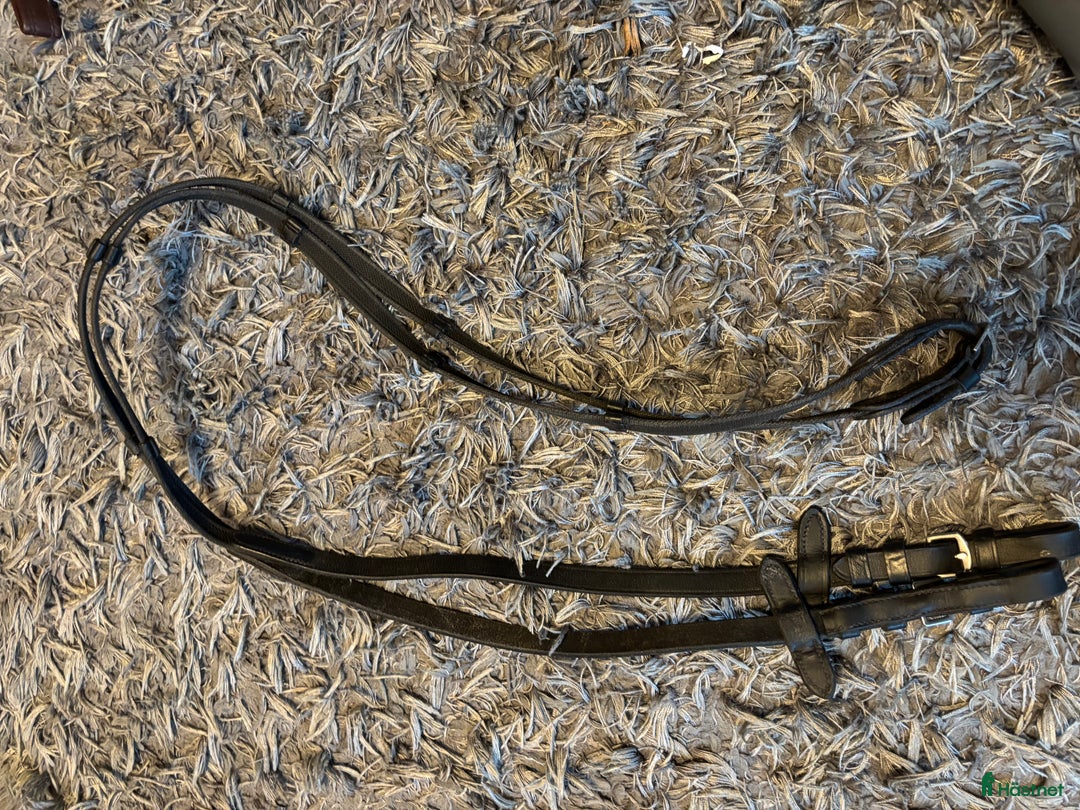 Övrig Hästutrustning hästutrustning till salu: Blandad hästutrustning  i Värnamo - Annons 8