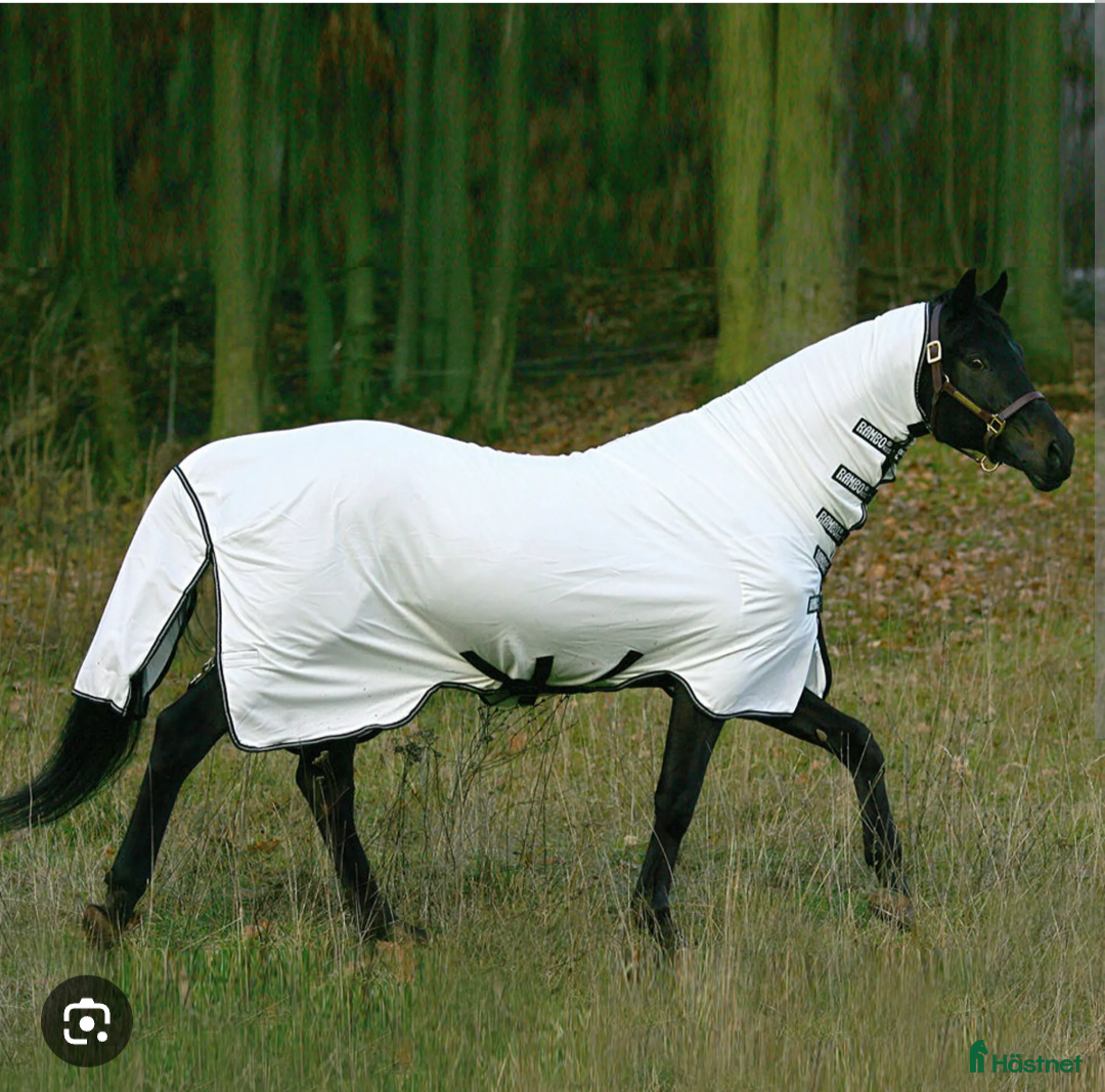 Täcken hästutrustning Horsewear Dust Buster Rambo  - Annons 3