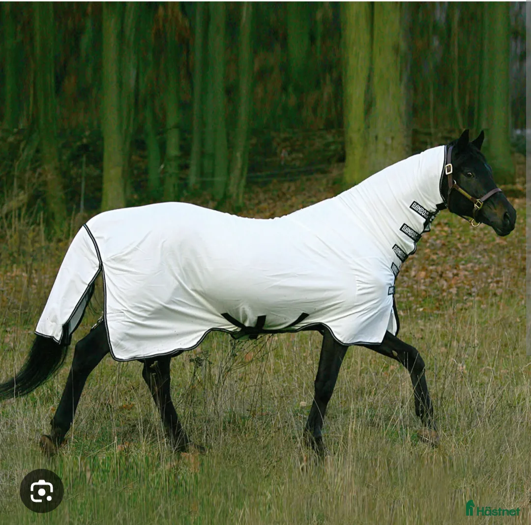 Täcken hästutrustning till salu: Horsewear Dust Buster Rambo  - Annons 1