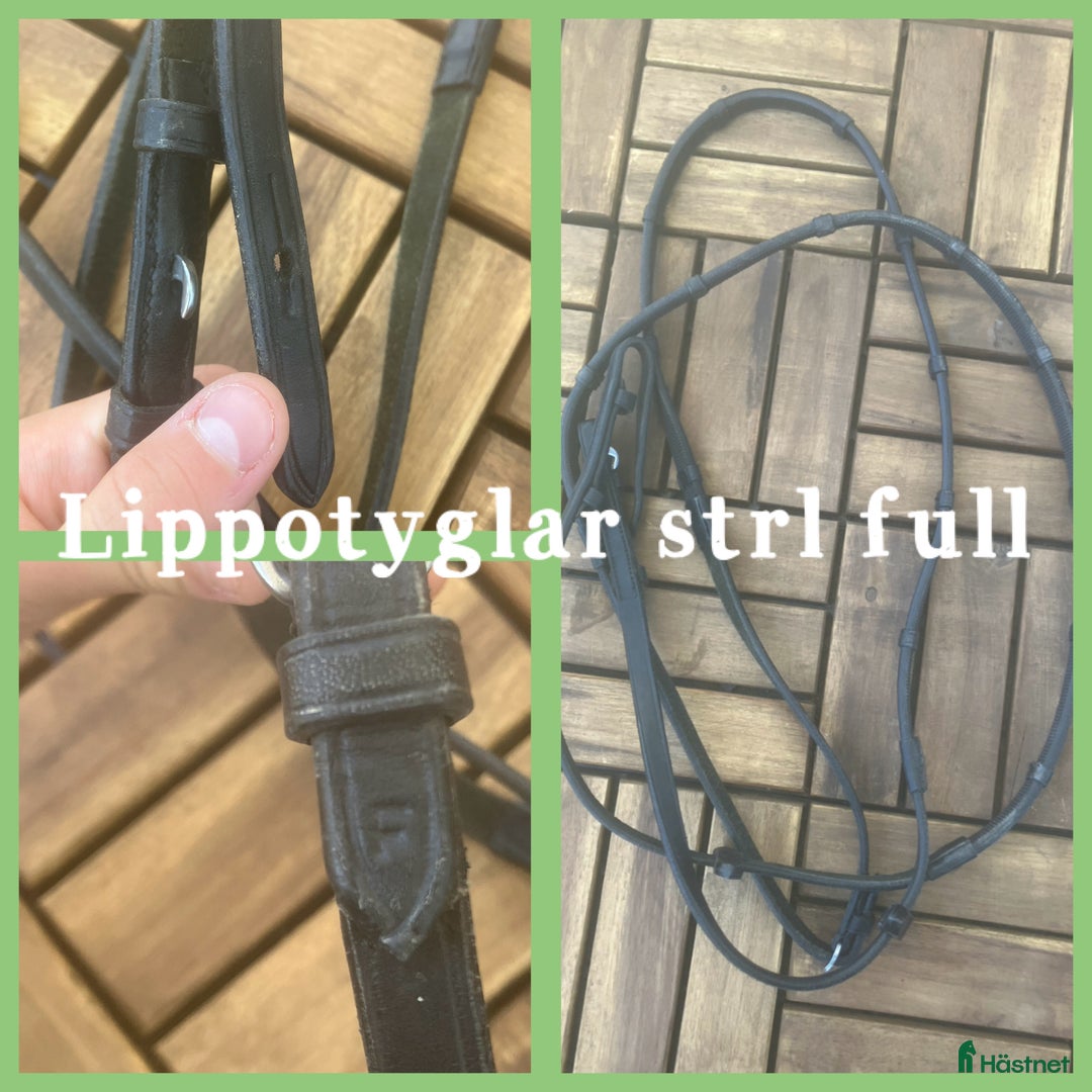 Övrig Hästutrustning hästutrustning till salu: Lippotyglar säljes! i Alingsås - Annons 1