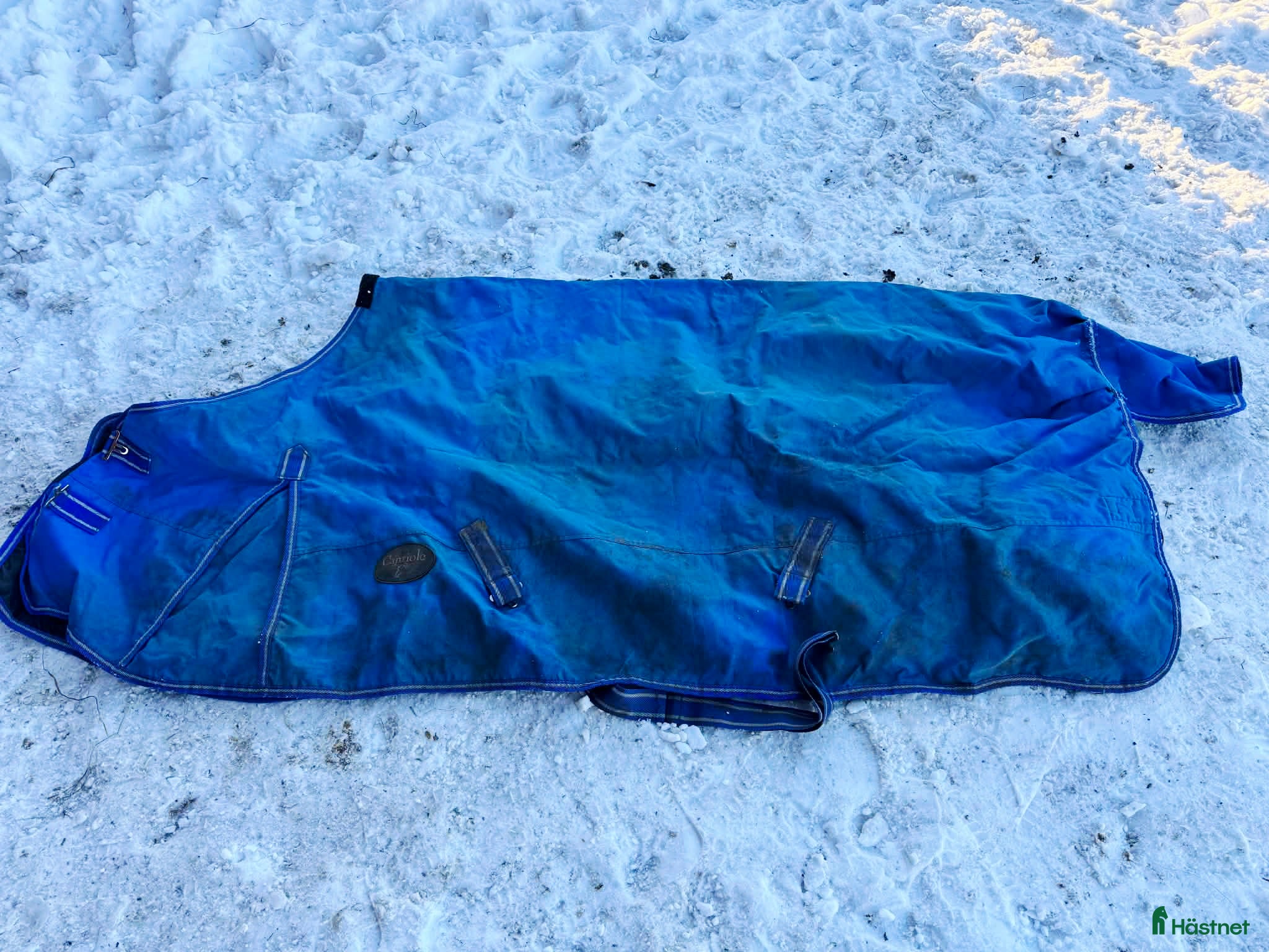 Täcken hästutrustning Utetäcke 50 gram i strl 155 - Annons 4