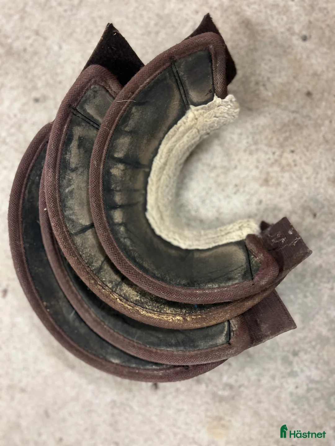 Övrig Hästutrustning hästutrustning till salu: Blandad utrustning? i Gävle - Annons 7