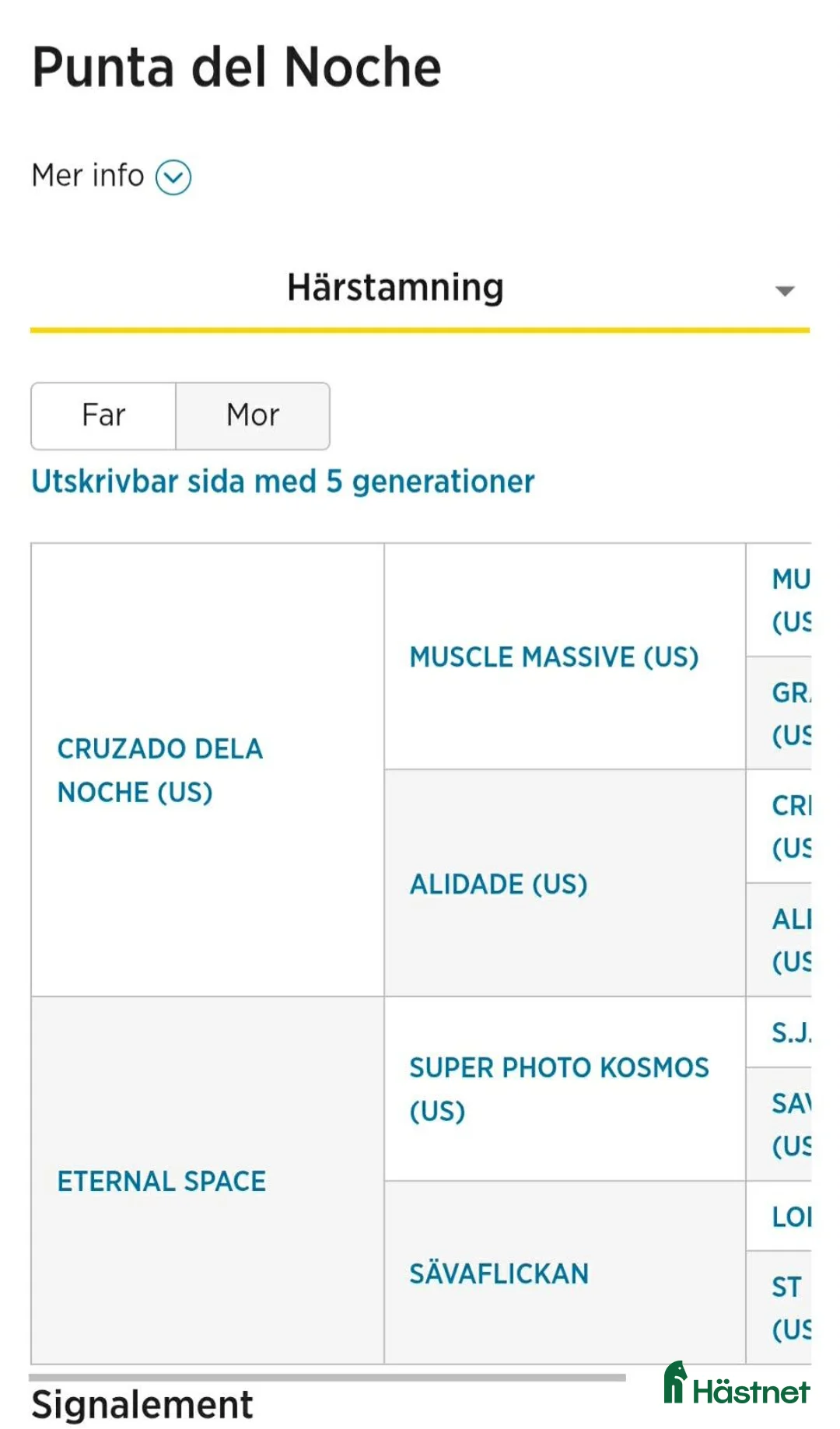 Trav hästar till salu: ⭐️Tillfälle⭐️ i Bengtsfors - Annons 2