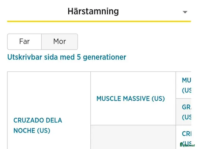 hästar till salu: ⭐️Tillfälle⭐️ - Annons 2