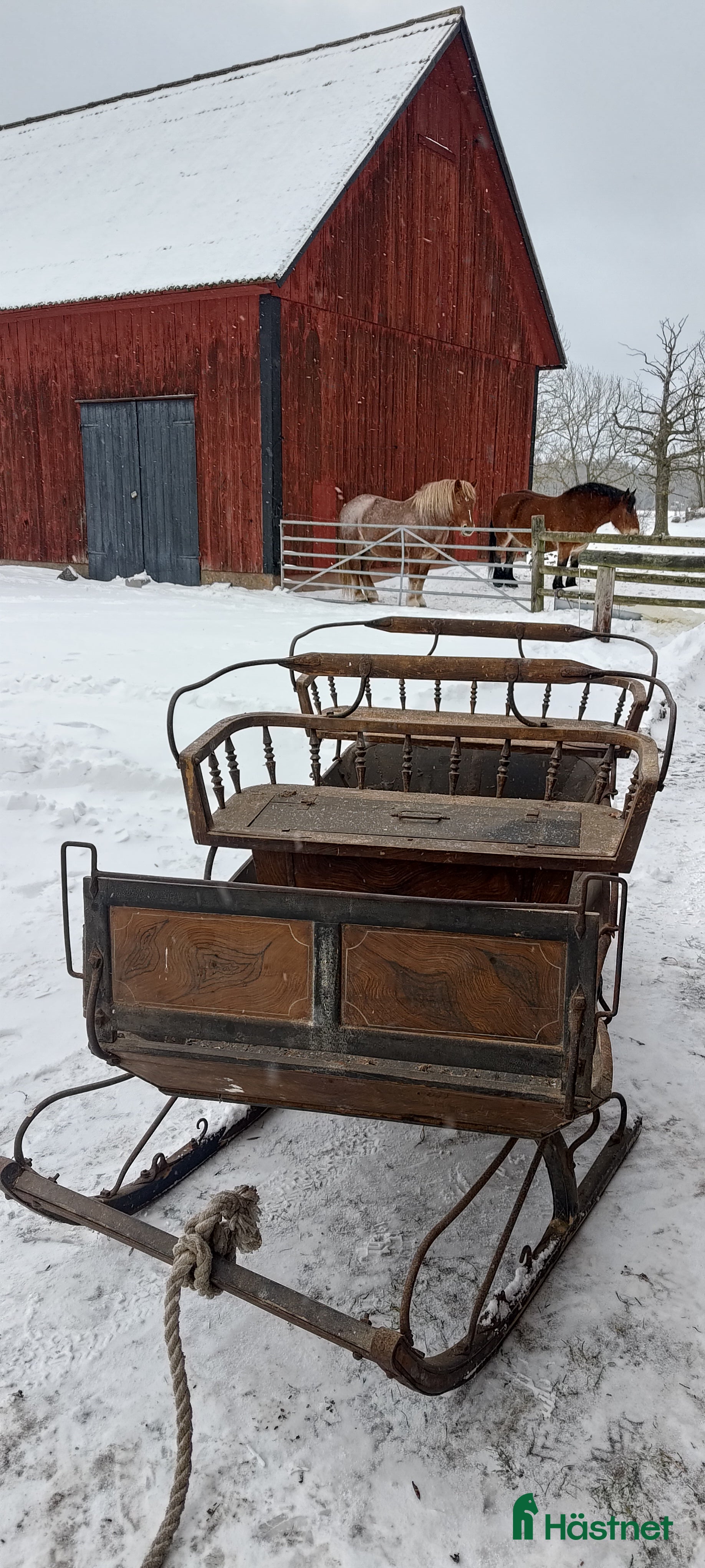 Körvagnar körning till salu: Släde i Löttorp - Annons 5