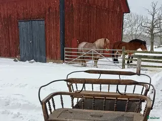 Körvagnar körning till salu: Släde i Löttorp - Annons 5