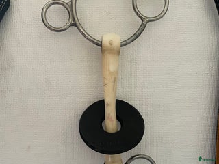 Bett hästutrustning till salu: Trust bett i Älmhult - Annons 2