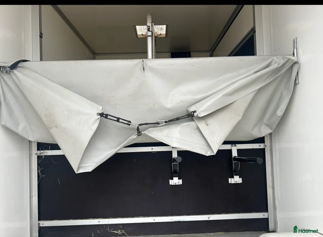 Hästlastbilar  fordon & transport till salu: UME Hästbuss B-kort - Annons 12