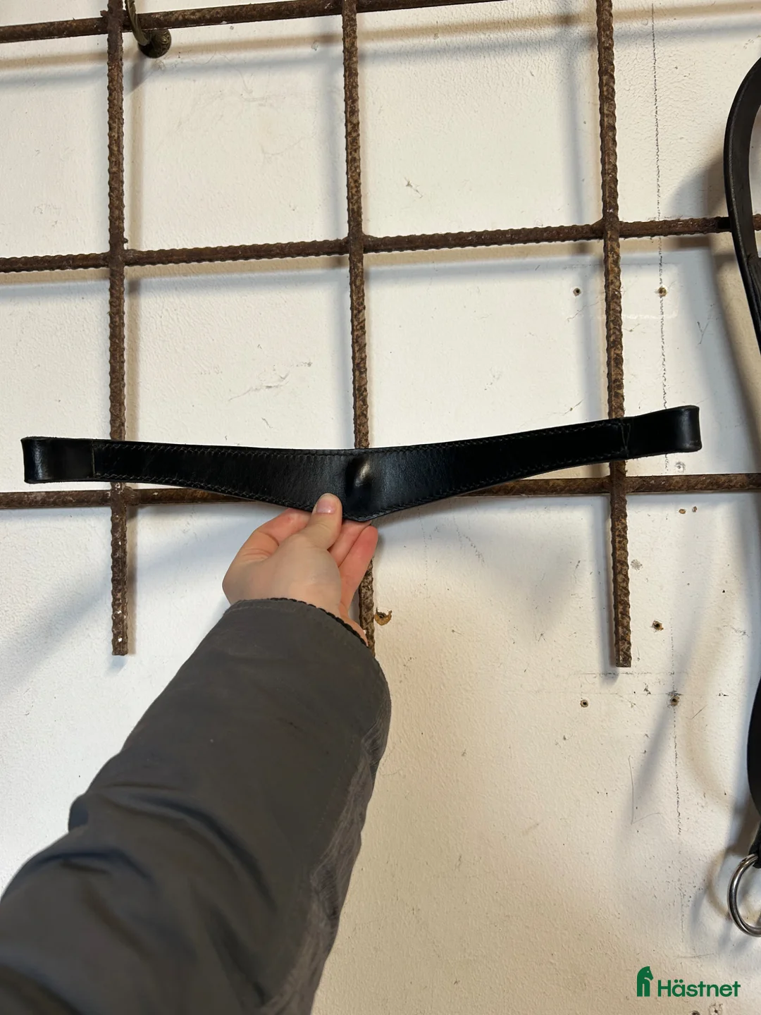 Övrig Hästutrustning hästutrustning till salu: Pannband med krona  - Annons 3