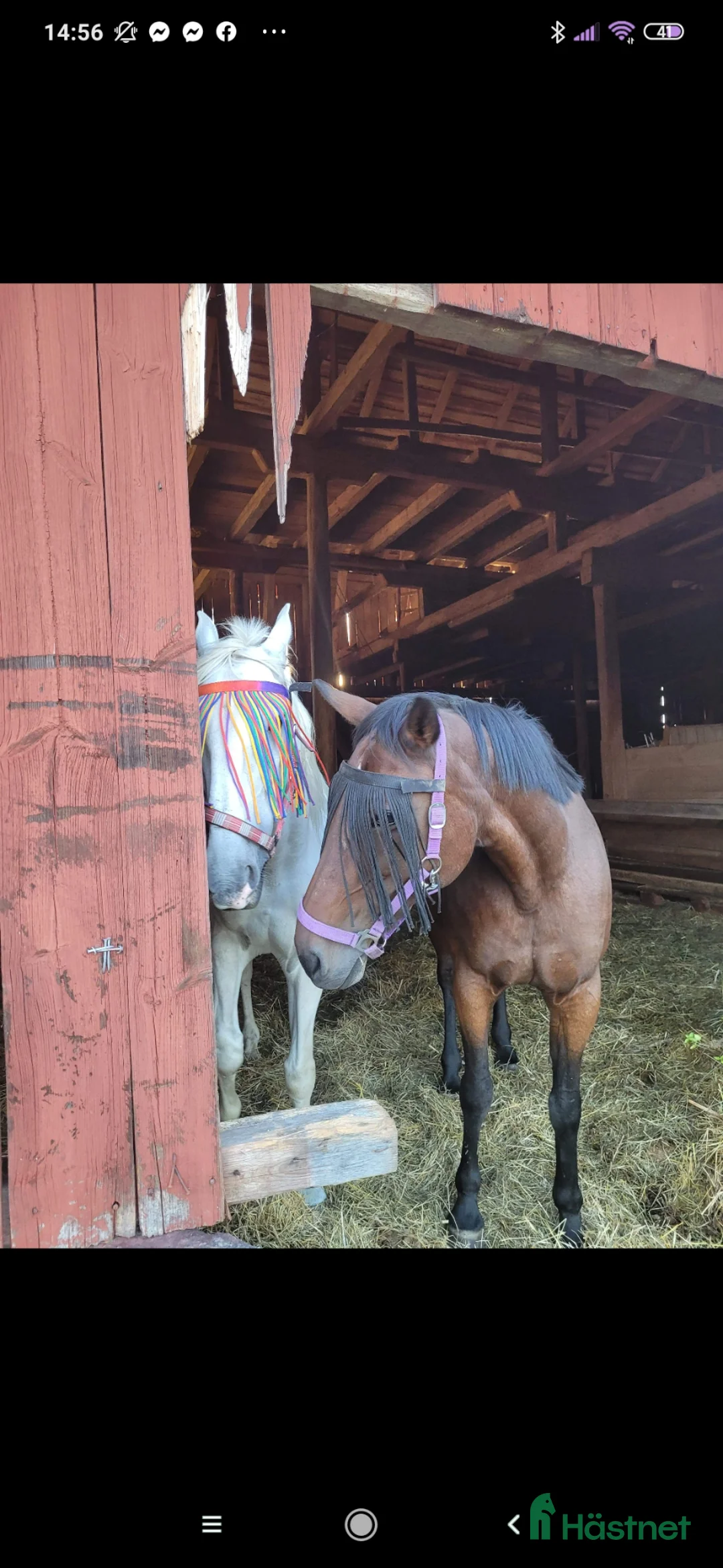 Galleribild {{count}}