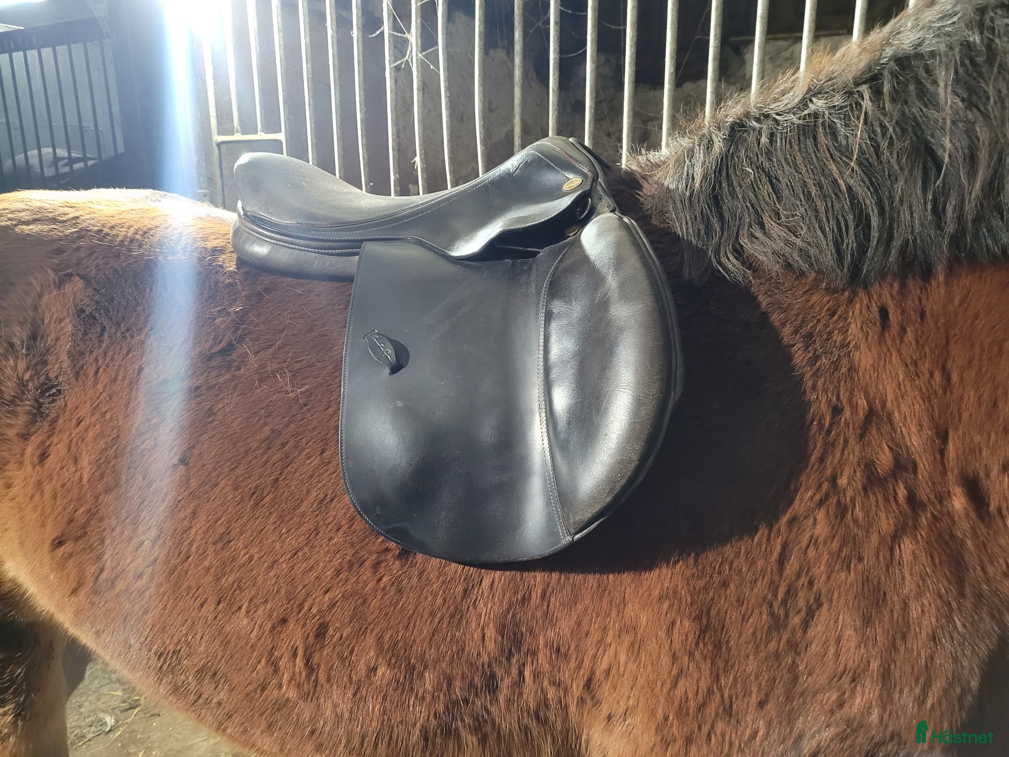 Sadlar hästutrustning Svart hoppsadel, Santa Cruz - Jean Luc - Annons 8