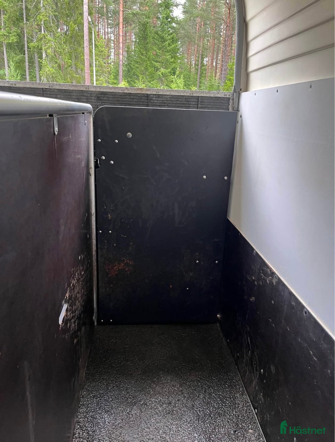 Hästtransporter  fordon & transport till salu: Forzab Cavallo SEH i Valbo - Annons 11