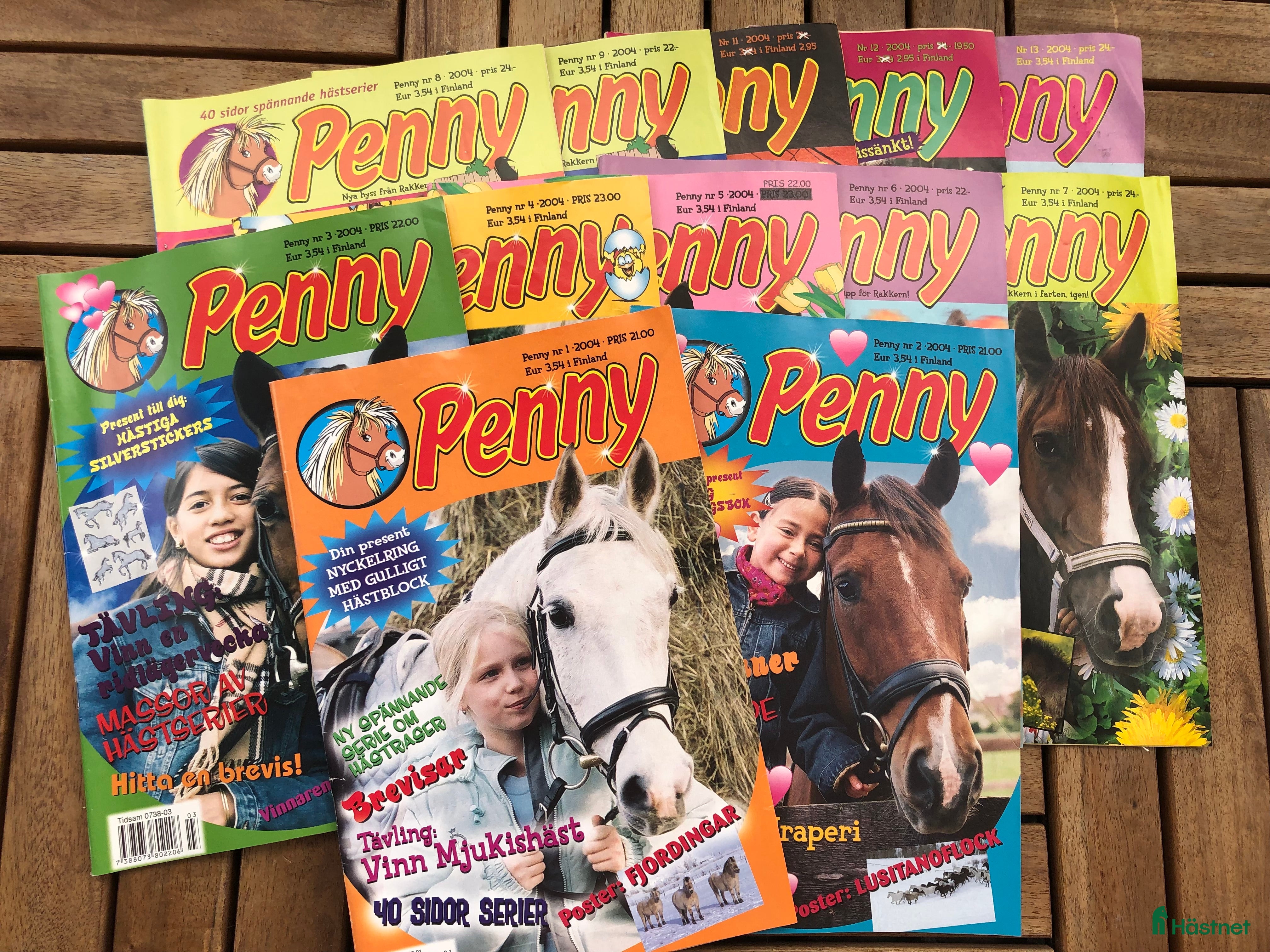 Hästinspirerad heminredning övrig utrustning till salu: Pennytidningar år 2004 i Växjö - Annons 4