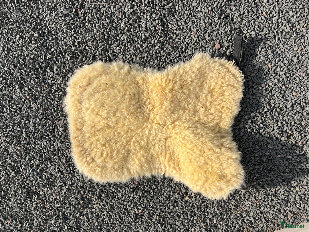 Sadeltillbehör hästutrustning till salu: Fårskinnspad i Jonstorp - Annons 3