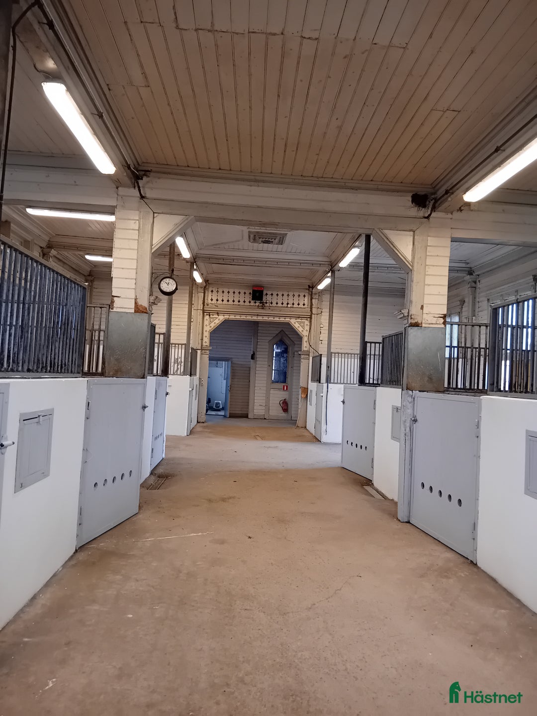  stallplats finnes: Konvalescenter/Unghästar/Fölston i Hjo - Annons 2