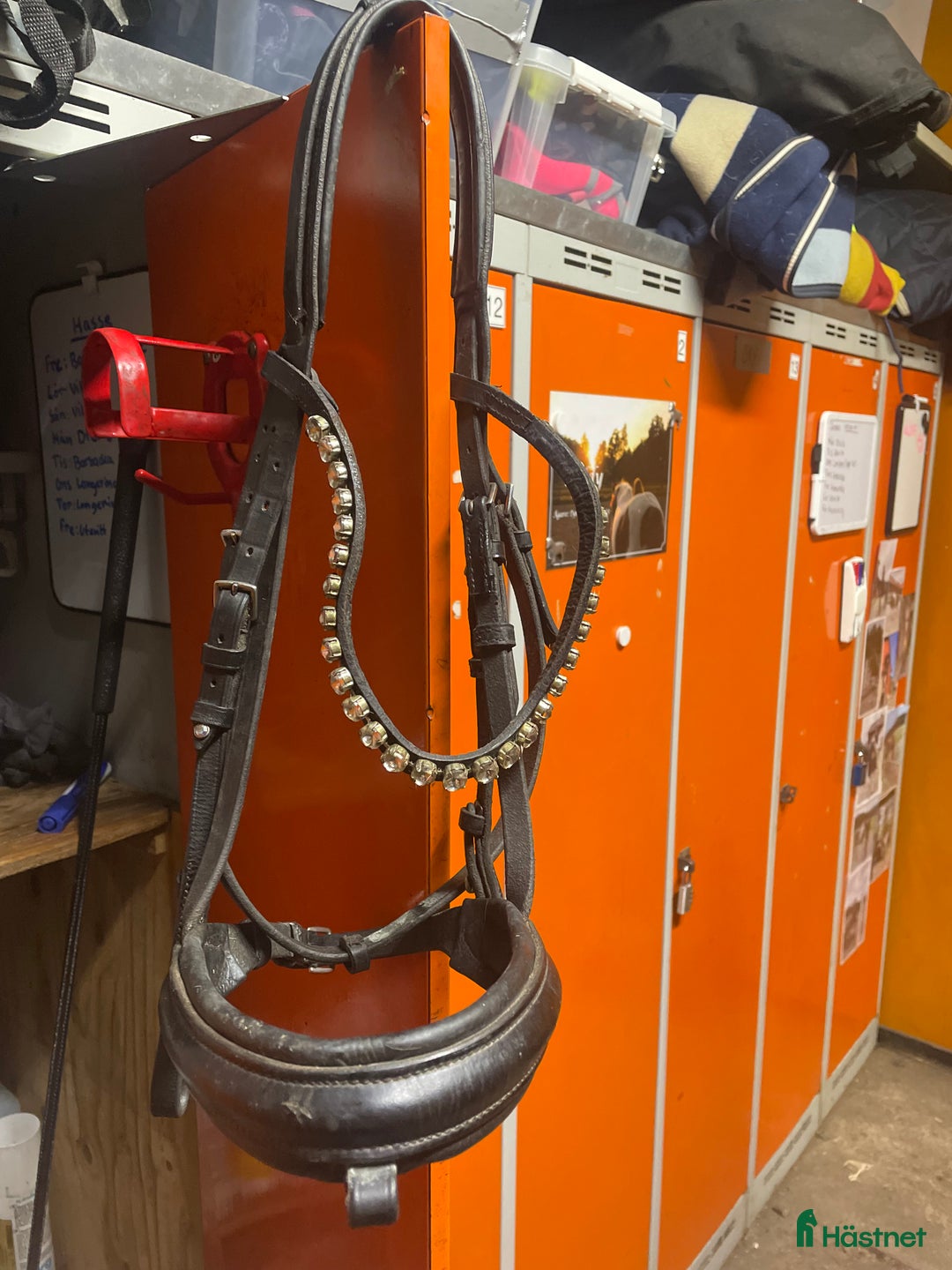 Träns hästutrustning till salu: Svart träns med strass i Tyresö - Annons 2