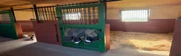  stallplats finnes: 1 Stallplats ledig  - Annons 2