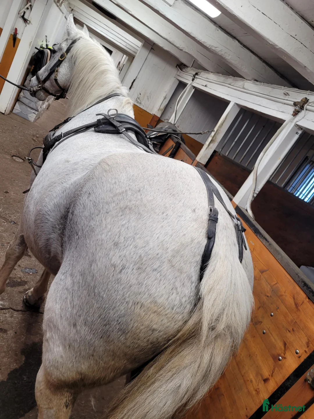 Körselar körning till salu: Körsele i svart läder stl full i Tyresö - Annons 3