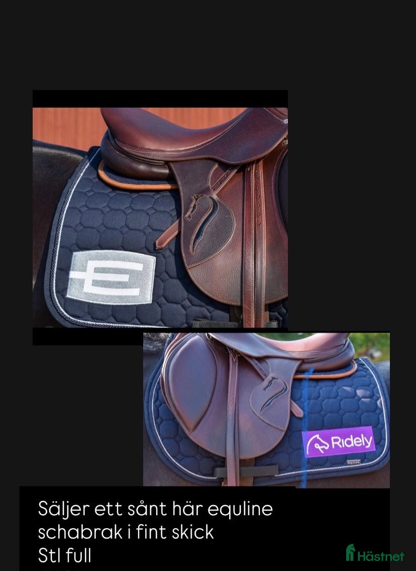 Schabrak & Vojlockar hästutrustning till salu: Equline schabrak  i Vetlanda - Annons 4