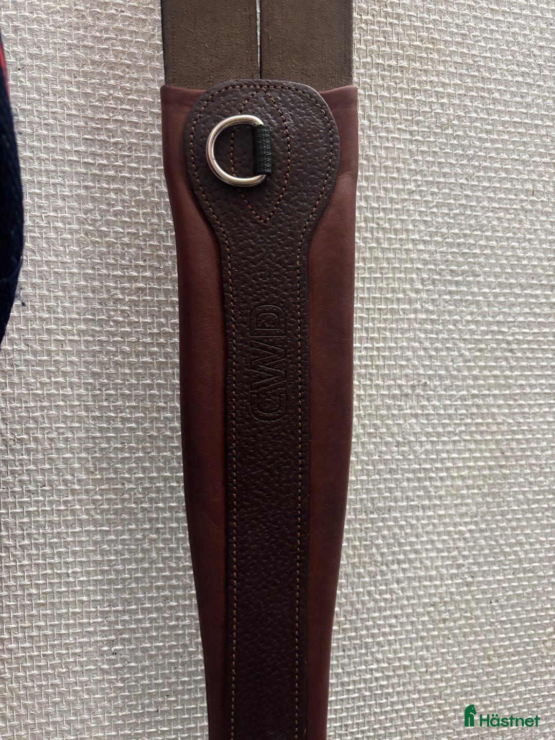 Sadeltillbehör hästutrustning till salu: CWD Klassisk sadelgjord i Vallentuna - Annons 6