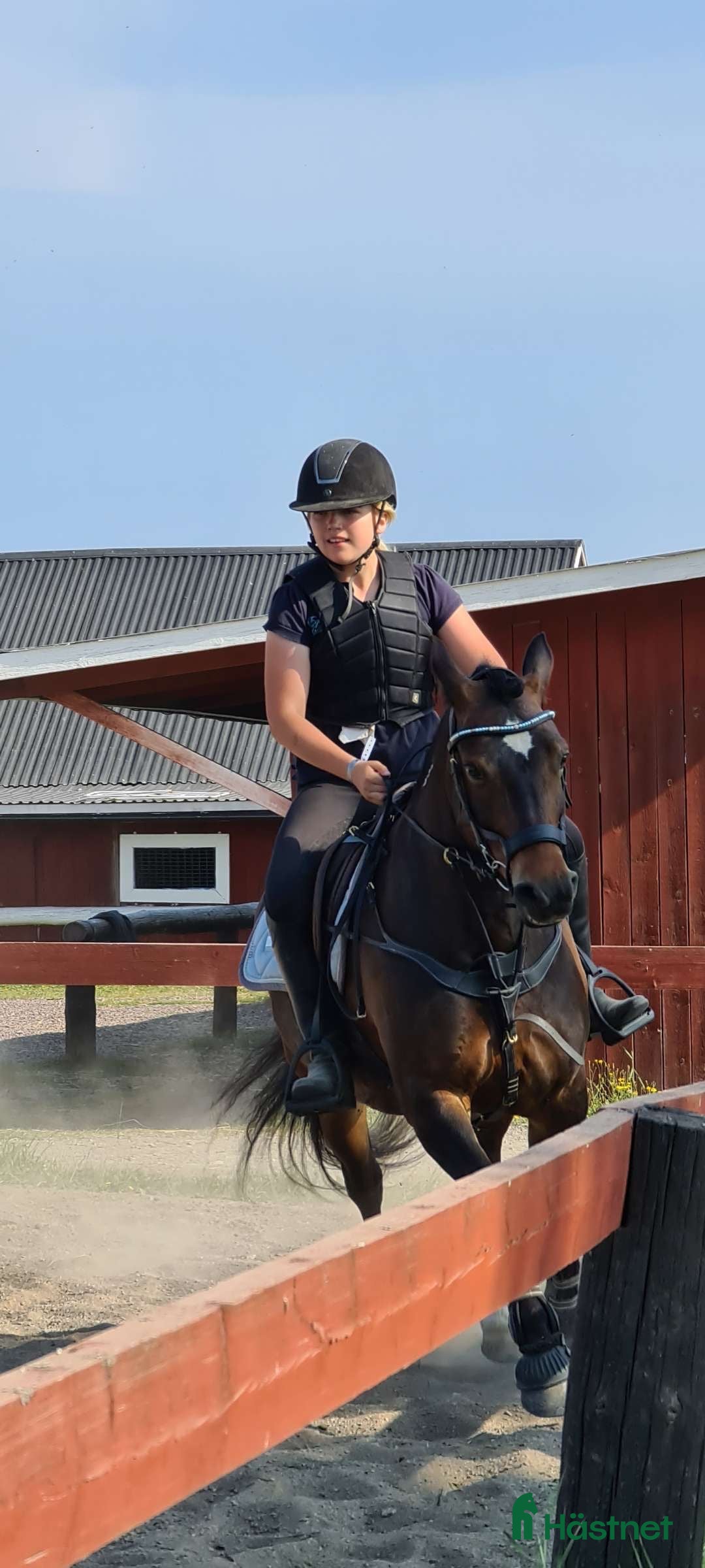 Galleribild {{count}}