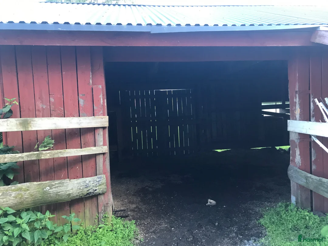  stallplats finnes: Lösdrift plats skogshage Umeå - Annons 3
