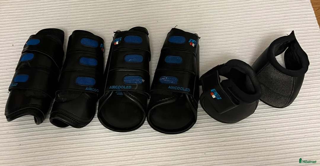 Benskydd hästutrustning till salu: Terrängskydd Premier Equine - Annons 1