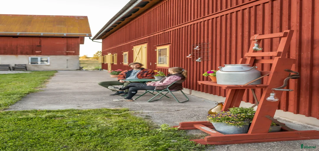 Galleribild {{count}}