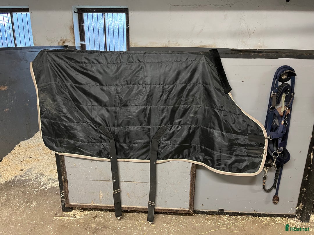 Täcken hästutrustning till salu: Superfint Stalltäcke  i Hörby - Annons 1