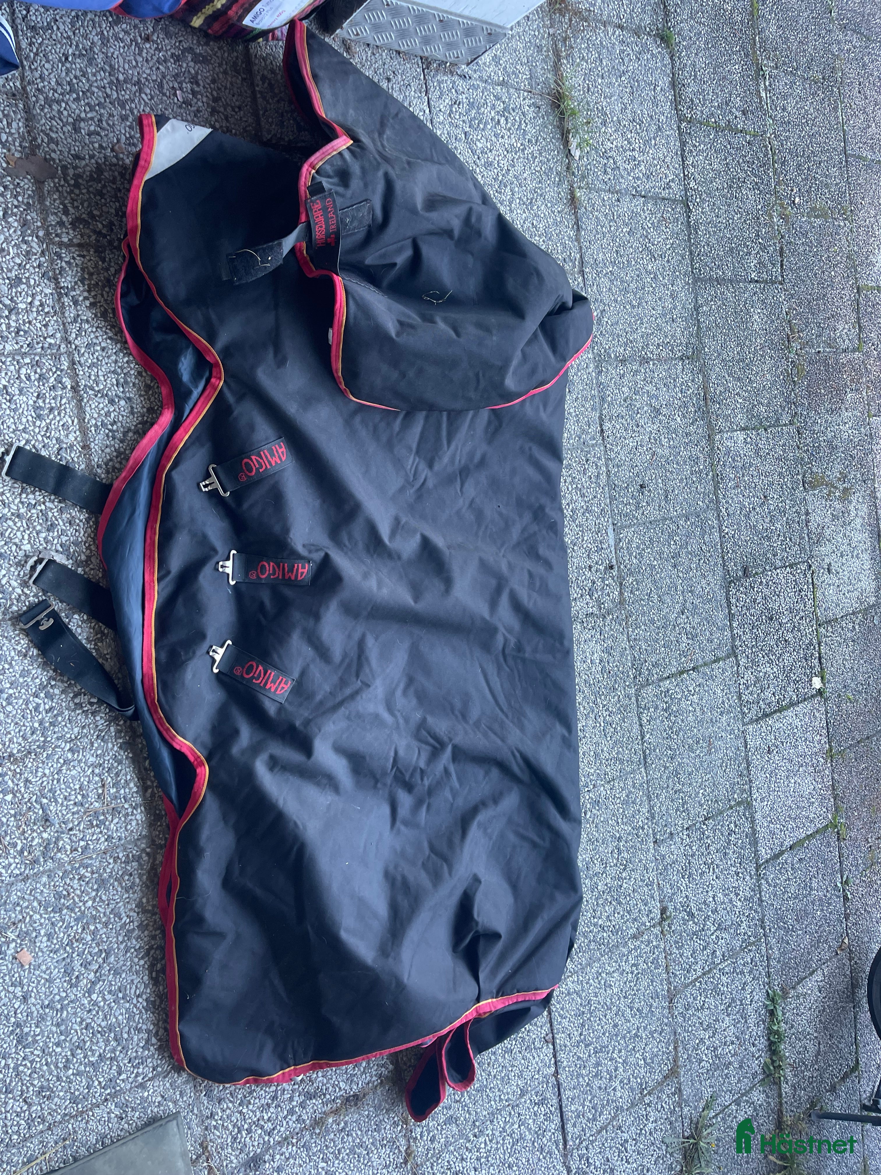 Täcken hästutrustning till salu: Vintertäcke - Annons 2