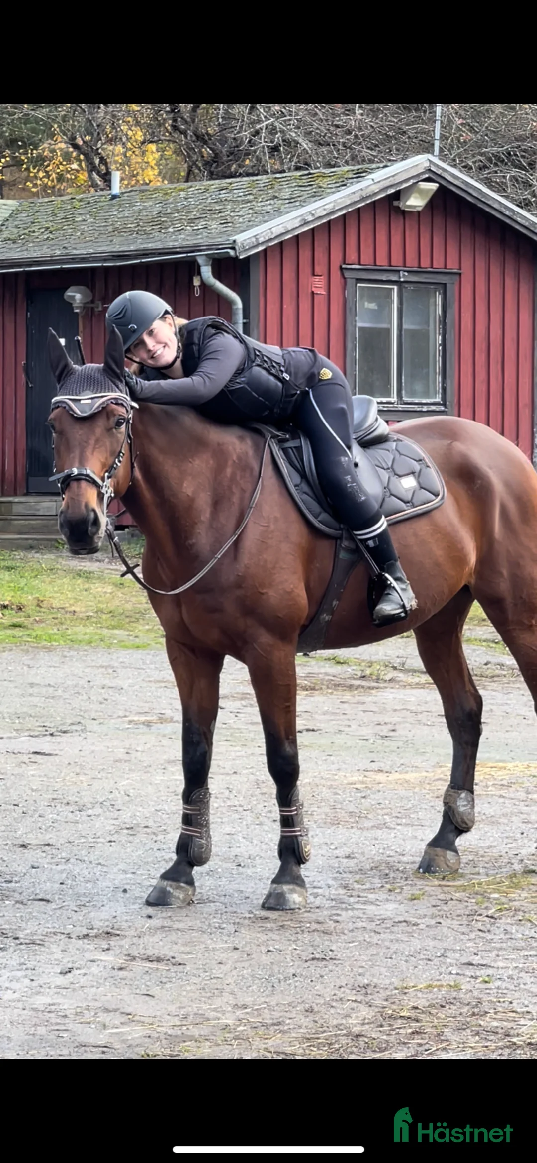 Allround hästar till salu: En go häst att göra lite av varje med i Vallentuna - Annons 3