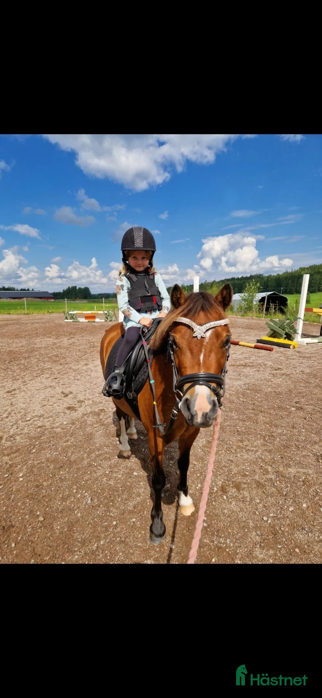 Allround hästar till salu: Sockersöt ponny - Annons 1