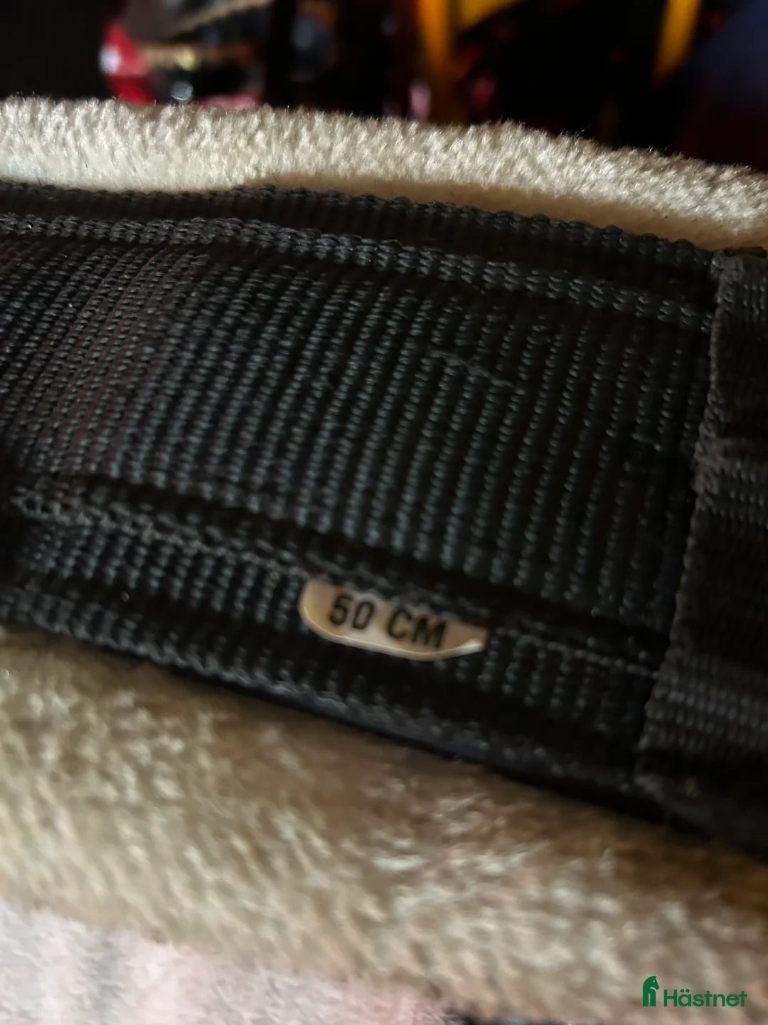 Sadeltillbehör hästutrustning till salu: Dressyrgjord med fluff strl 50 i Hörby - Annons 2