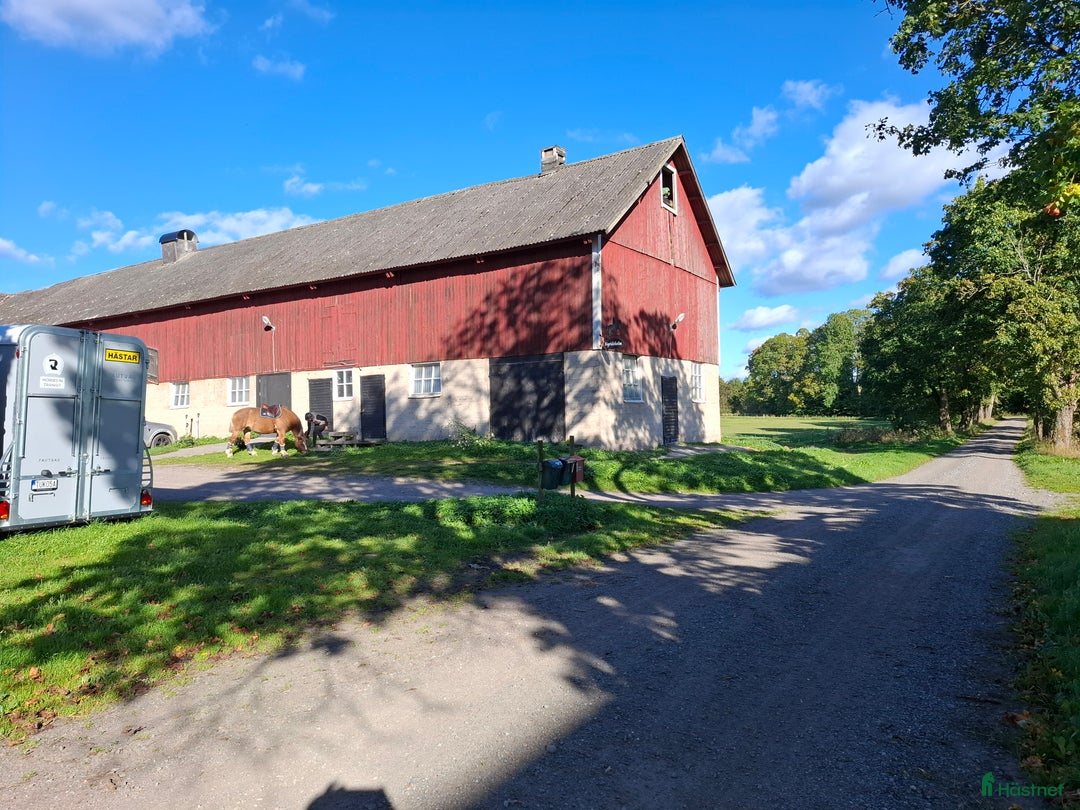  stallplats finnes: Lediga boxar nära Arlanda i Arlandastad - Annons 7