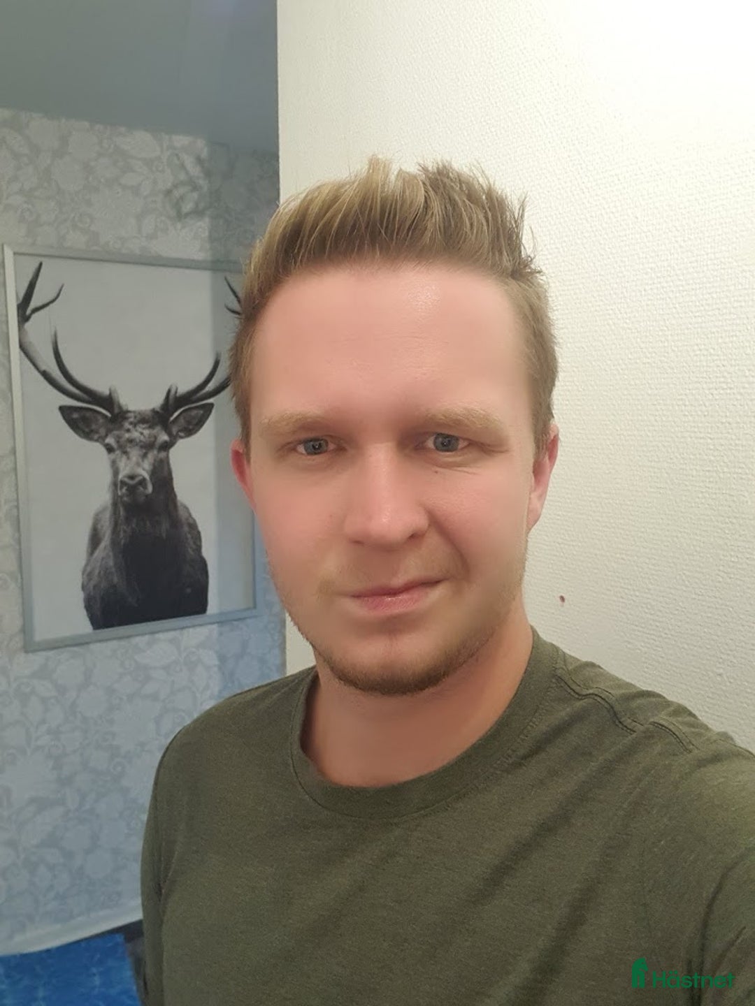  hästjobb finnes: söker jobb inom Stall/hästskötsel i Sävsjö - Annons 2