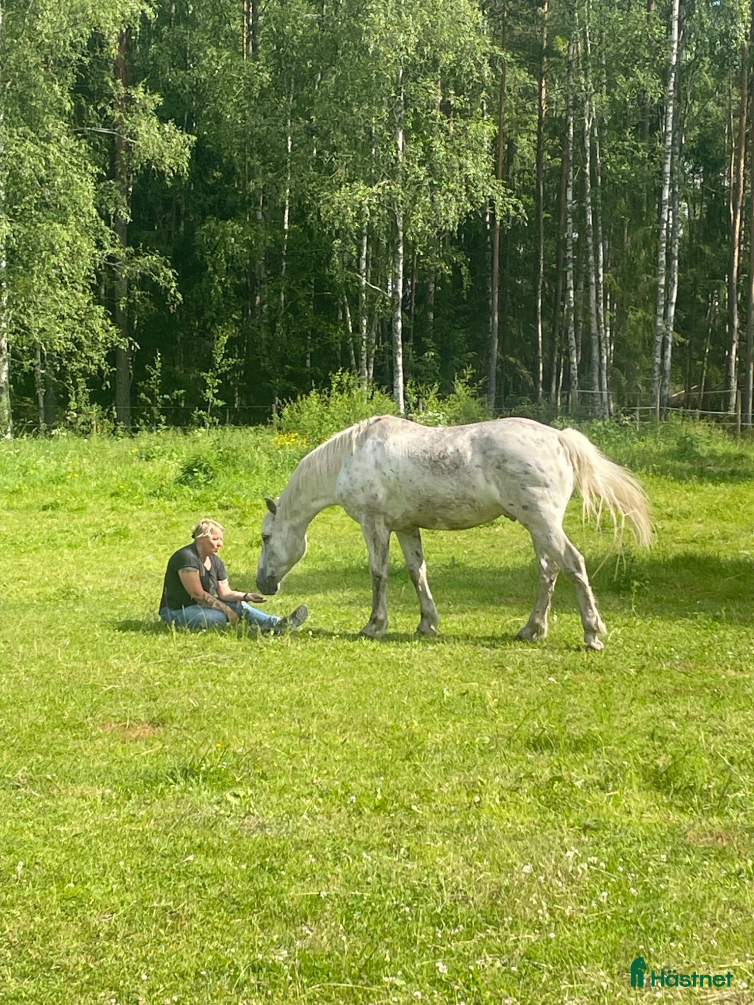  stallplats Boxplats finns i Mariefred - Annons 17