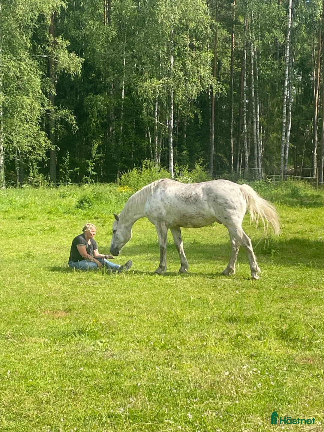 stallplats finnes: Boxplats finns i Mariefred - Annons 1