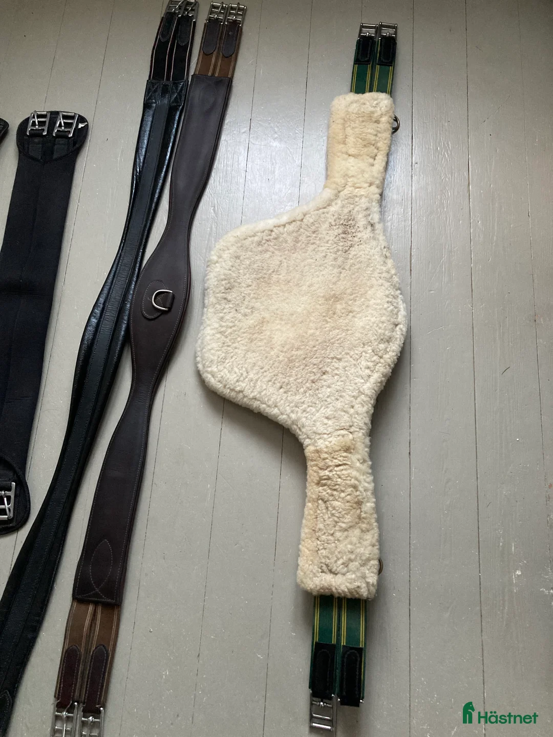 Sadeltillbehör hästutrustning till salu: Sadelgjordar i läder med resår + gjord i neopren - Annons 2