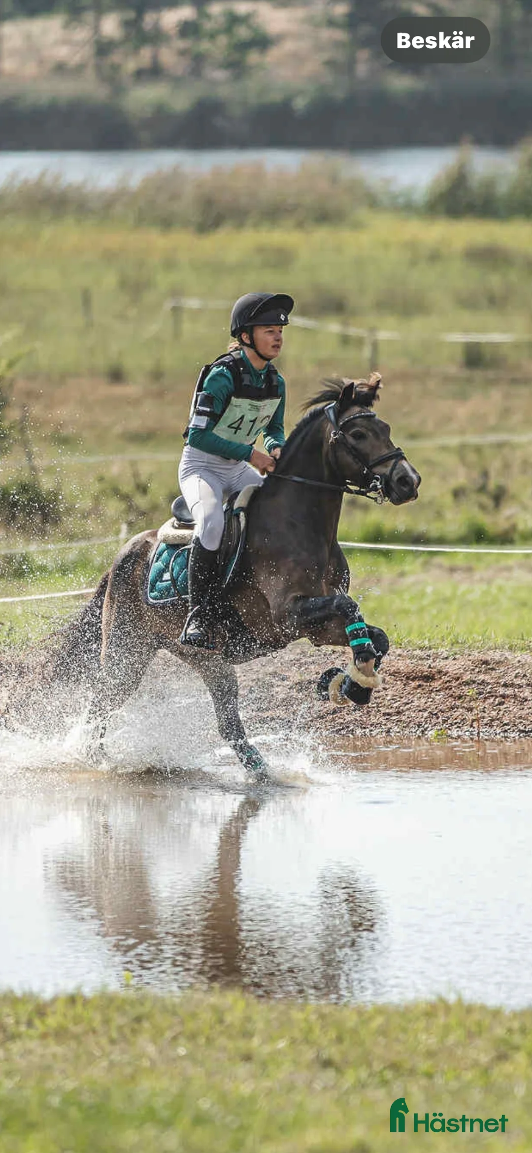 Allround hästar till salu: SM B-ponny  i Kävlinge - Annons 4