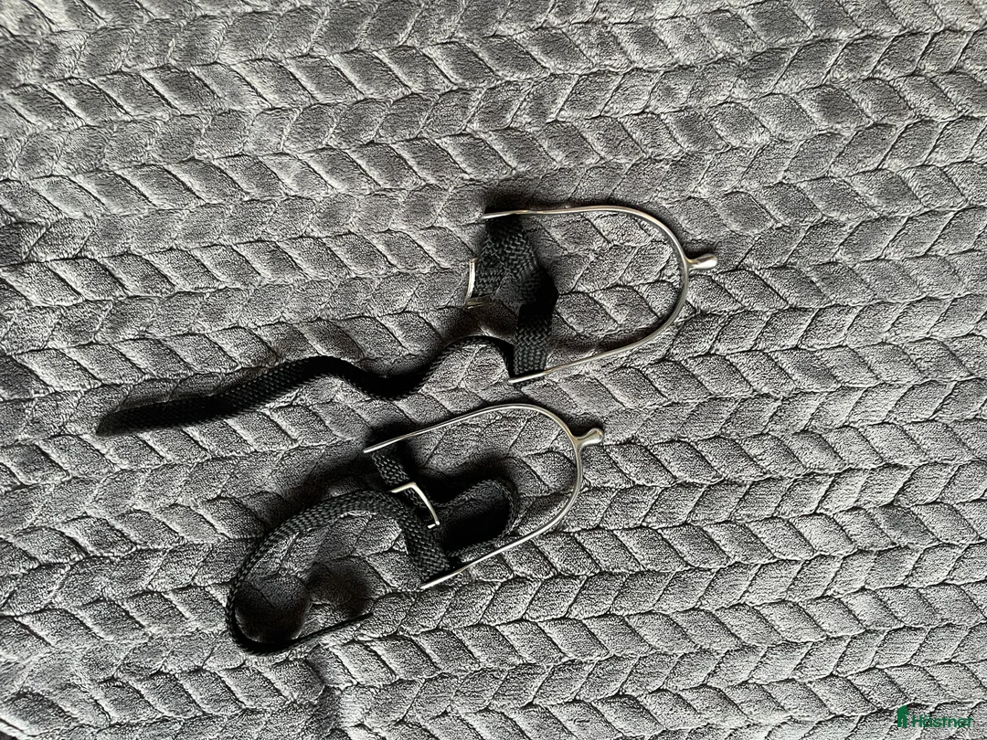 Övrigt Ridkläder ryttarutrustning till salu: Sporrar  - Annons 1