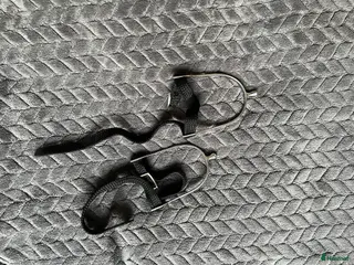 Övrigt Ridkläder ryttarutrustning till salu: Sporrar - Annons 18