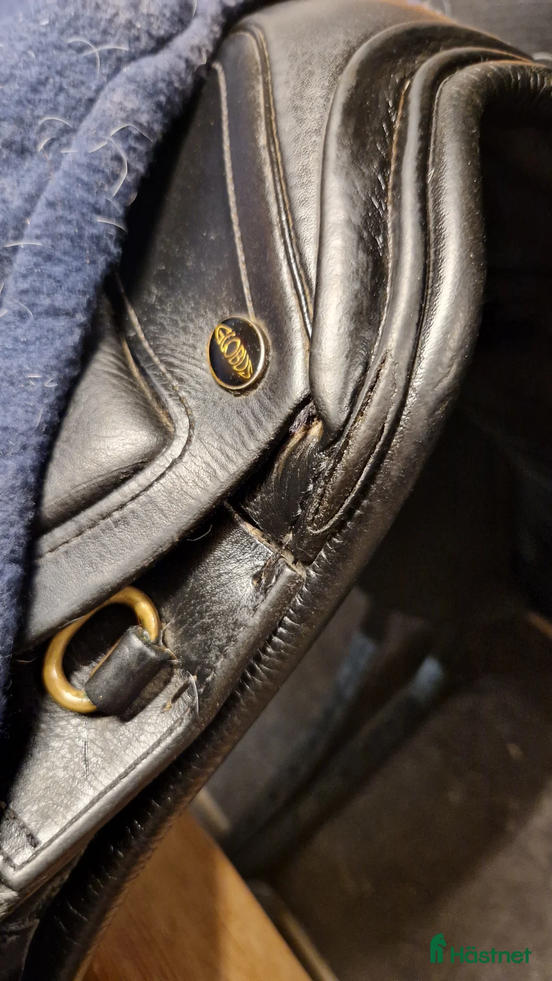 Sadlar hästutrustning till salu: Globus clic - Annons 9