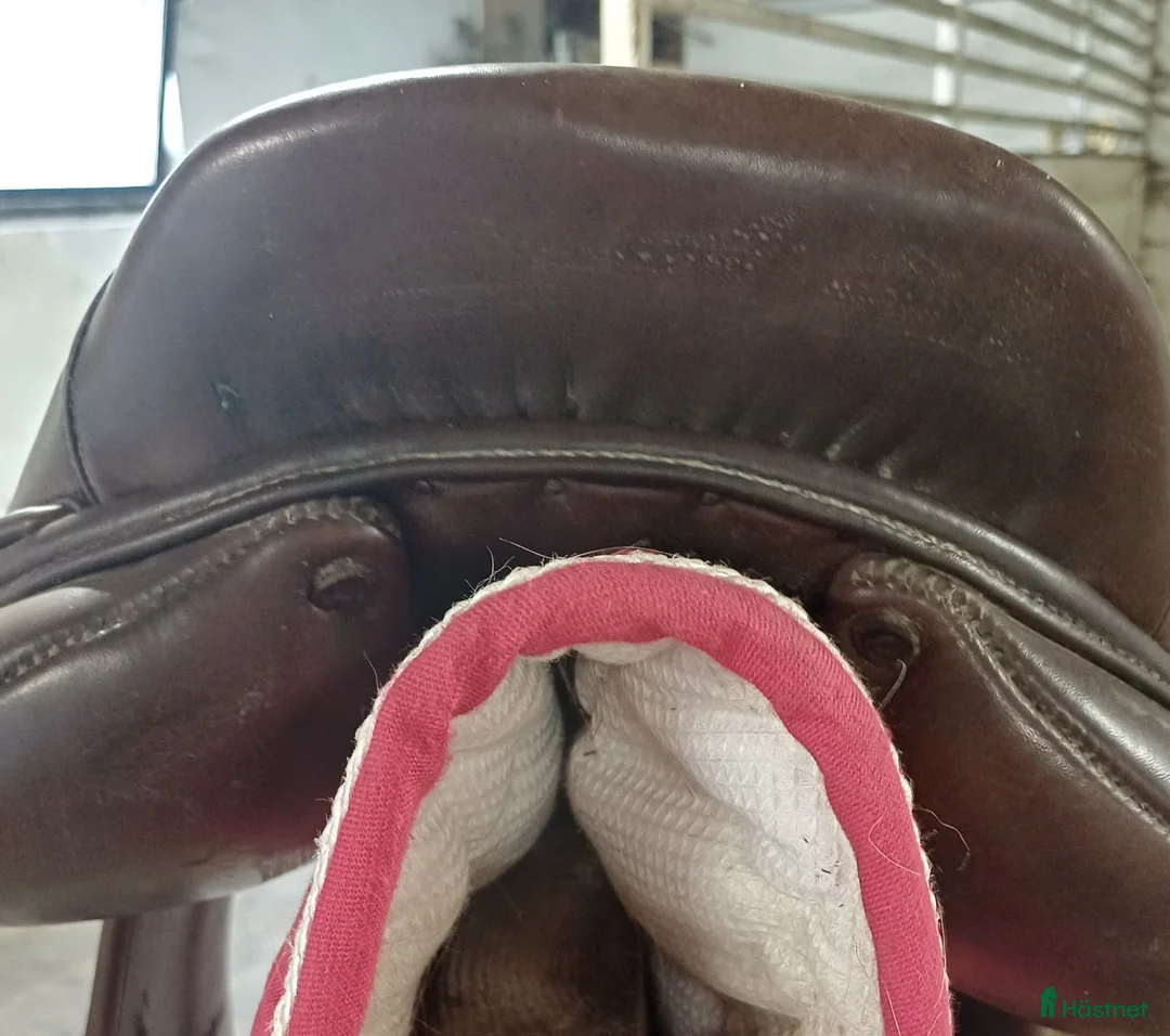 Sadlar hästutrustning till salu: Lyxig CWD Hoppsadel i Vålberg - Annons 2