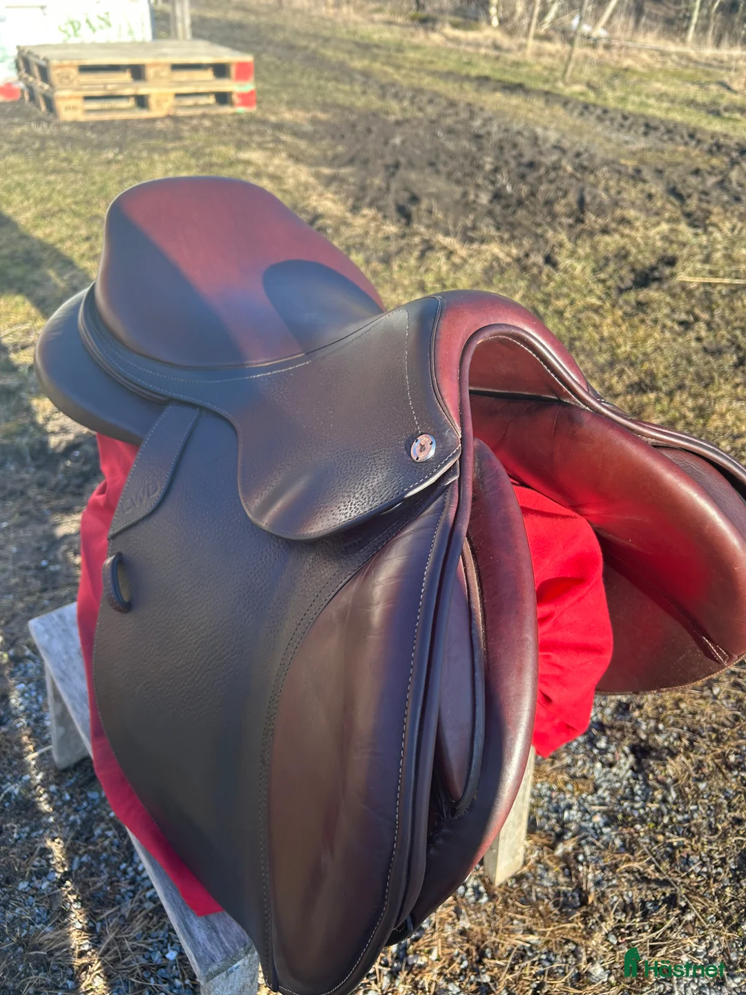 Sadlar hästutrustning till salu: CWD Hoppsadel - Annons 1