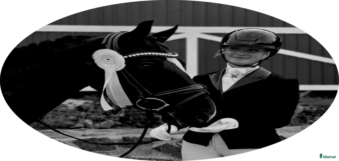 Galleribild {{count}}