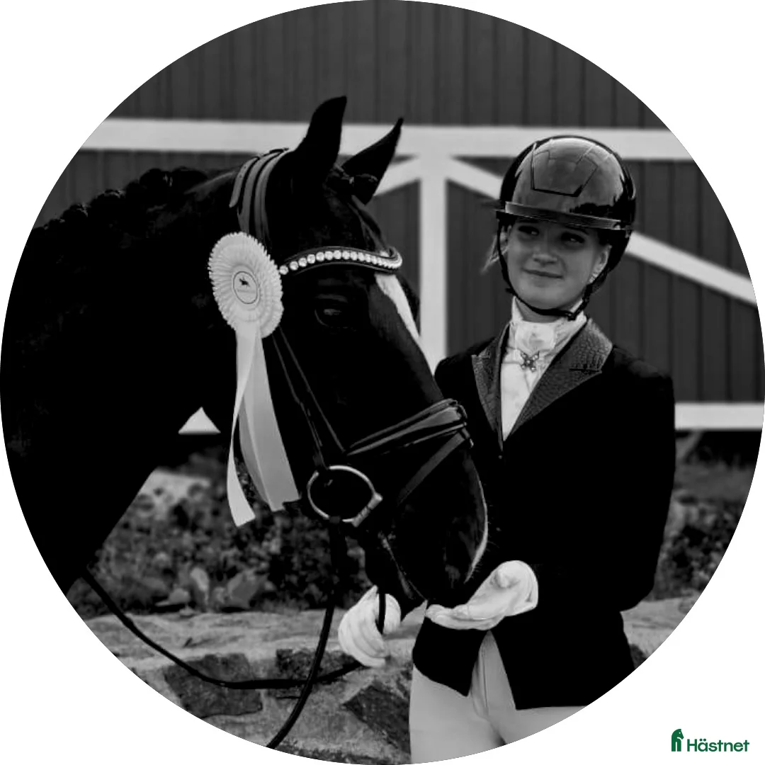 Galleribild {{count}}