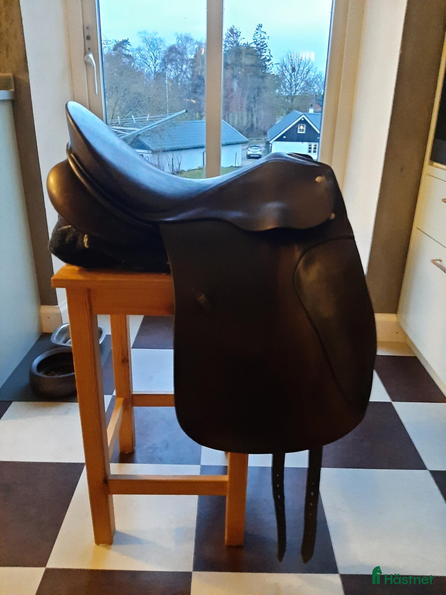 Sadlar hästutrustning Passier Optimum Dressyrsadel i bra skick - Annons 19